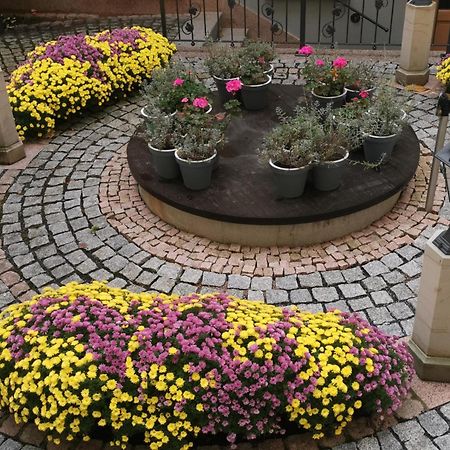 Altstadtidyll Meissen Ngoại thất bức ảnh